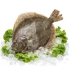Calcan Sălbatic de Marea Neagră - Pește Întreg 1.5 - 8kg - La Lipoveanca