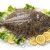 Calcan Sălbatic de Marea Neagră - Pește Întreg 1.5 - 8kg - La Lipoveanca