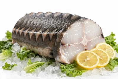Trunchi de Morun de Acvacultură - Bucăți 5 - 8kg